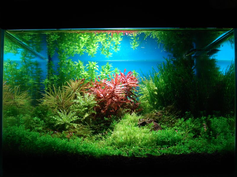 [contest2007klein#.jpg]