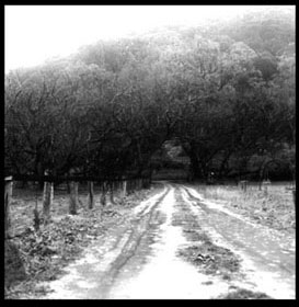 "The drip, driveway, rain", 20cm x 20cm, Black and White, Silver Gelatin Photograph