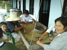 seleccionando el cafe