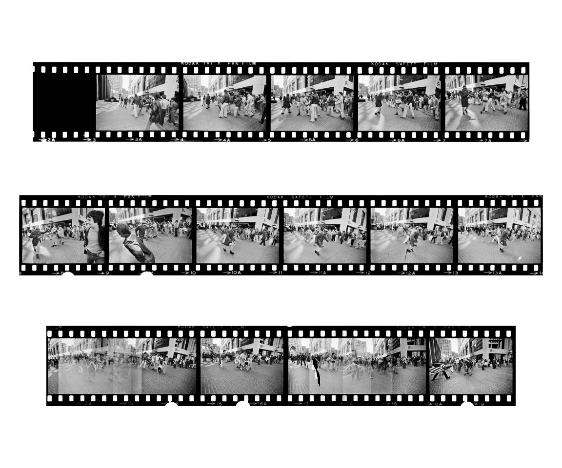 [3_strip_20x24b.jpg]