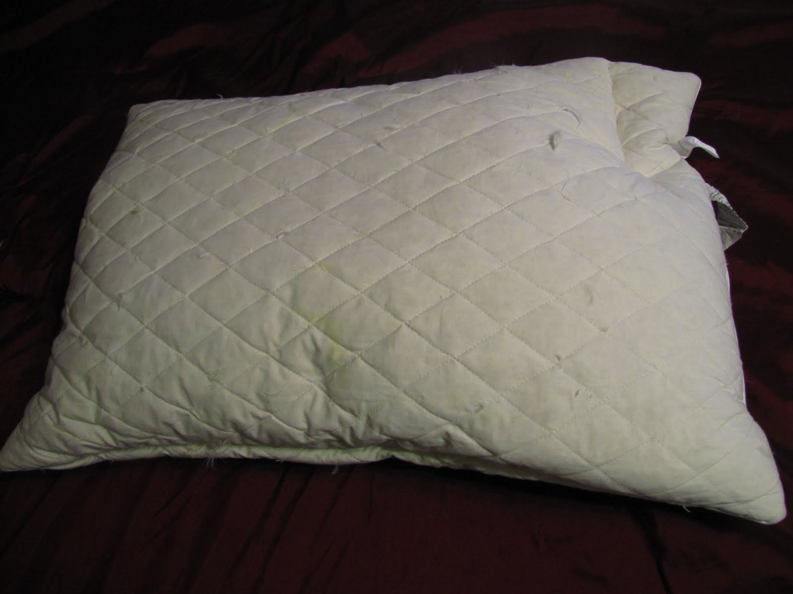 This and That Creative Blog How to Make Your Feather Pillow Last Longer!