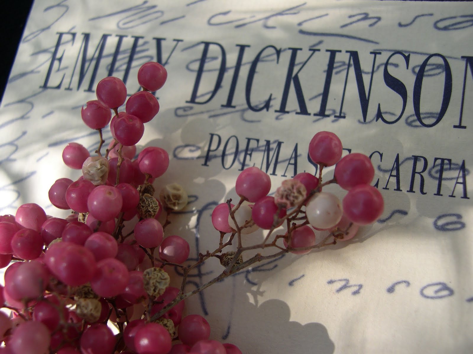 [Emily+Dickinson1.JPG]
