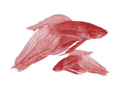 [fish.jpg]
