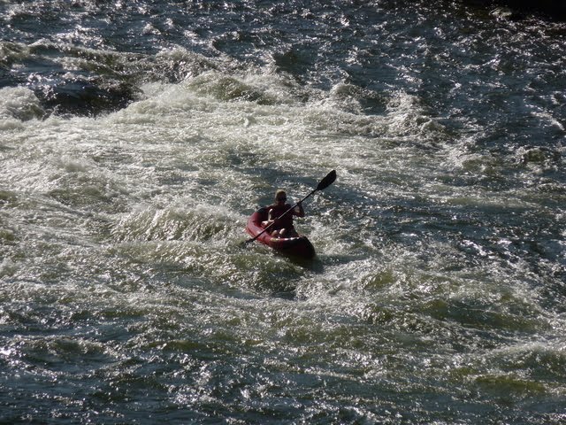 [Raft+The+Rogue+River+August+23j.jpg]
