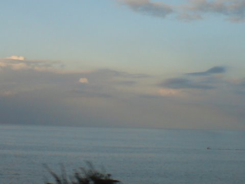 [DSC00107.JPG]