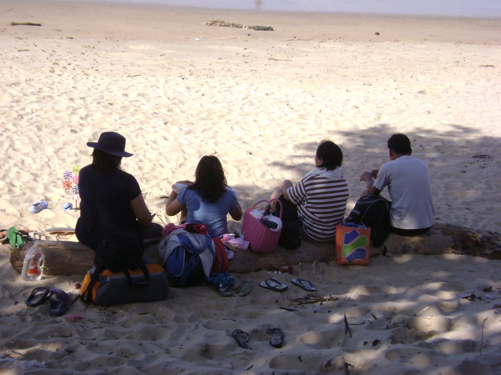[DSC02501.JPG]