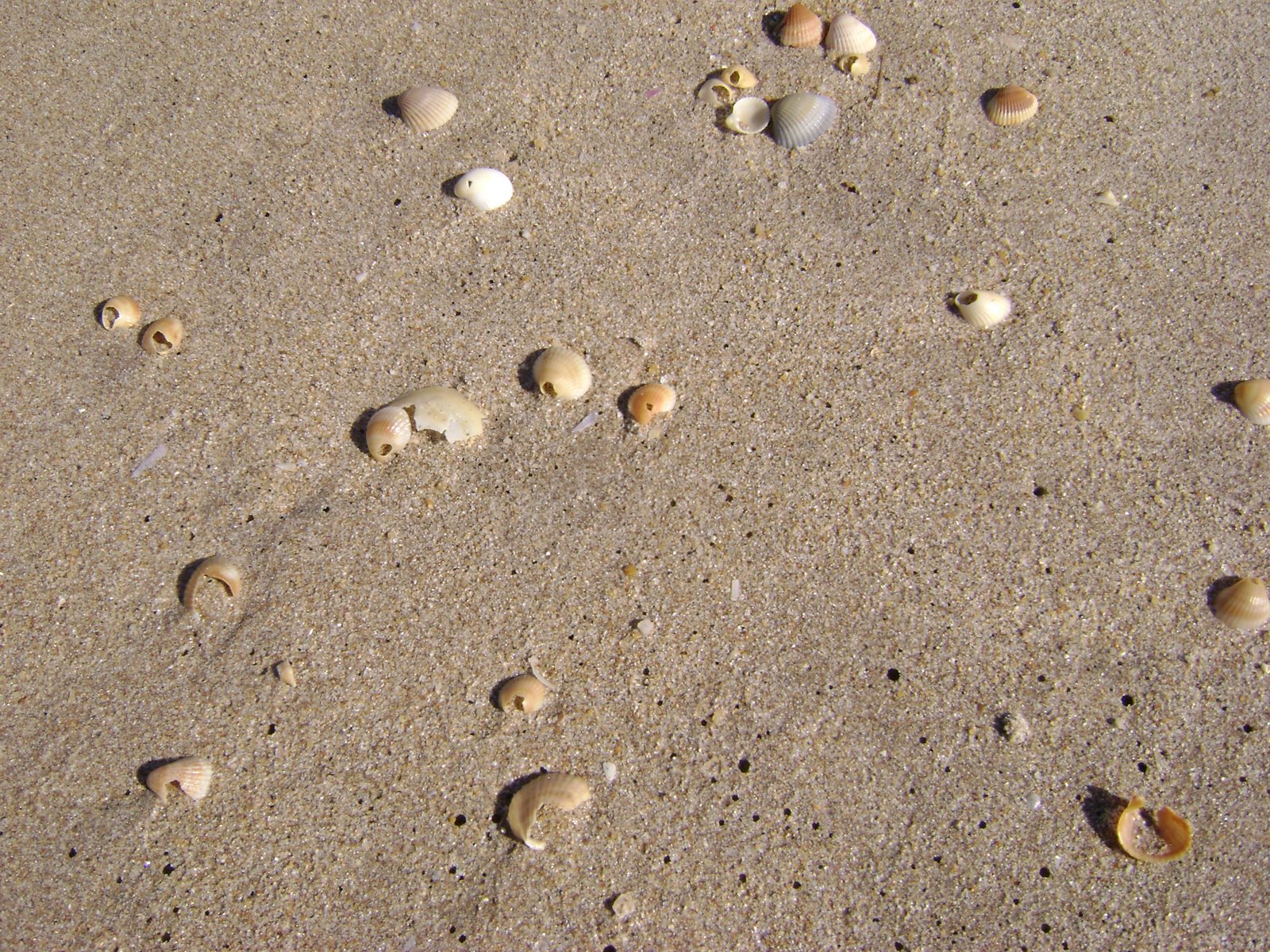[DSC02475.JPG]