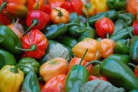 [1950468850_4e5e9fb6cd.jpg]