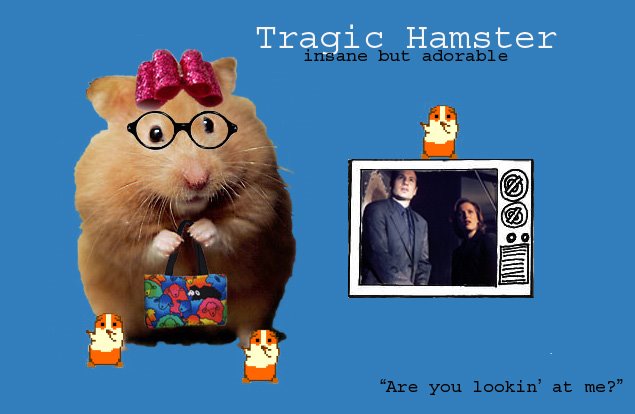 Tragic Hamster
