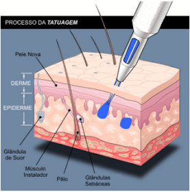 Featured image of post Gaivota Marinheiro Png