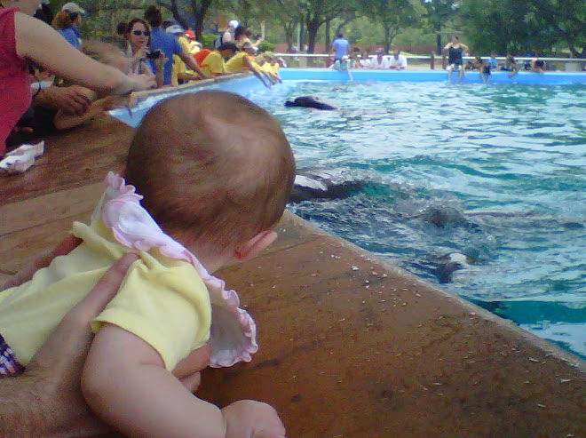 Lilly at Dolphin Cove