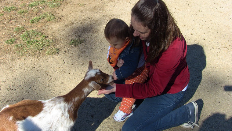 Lilly and baby Goat