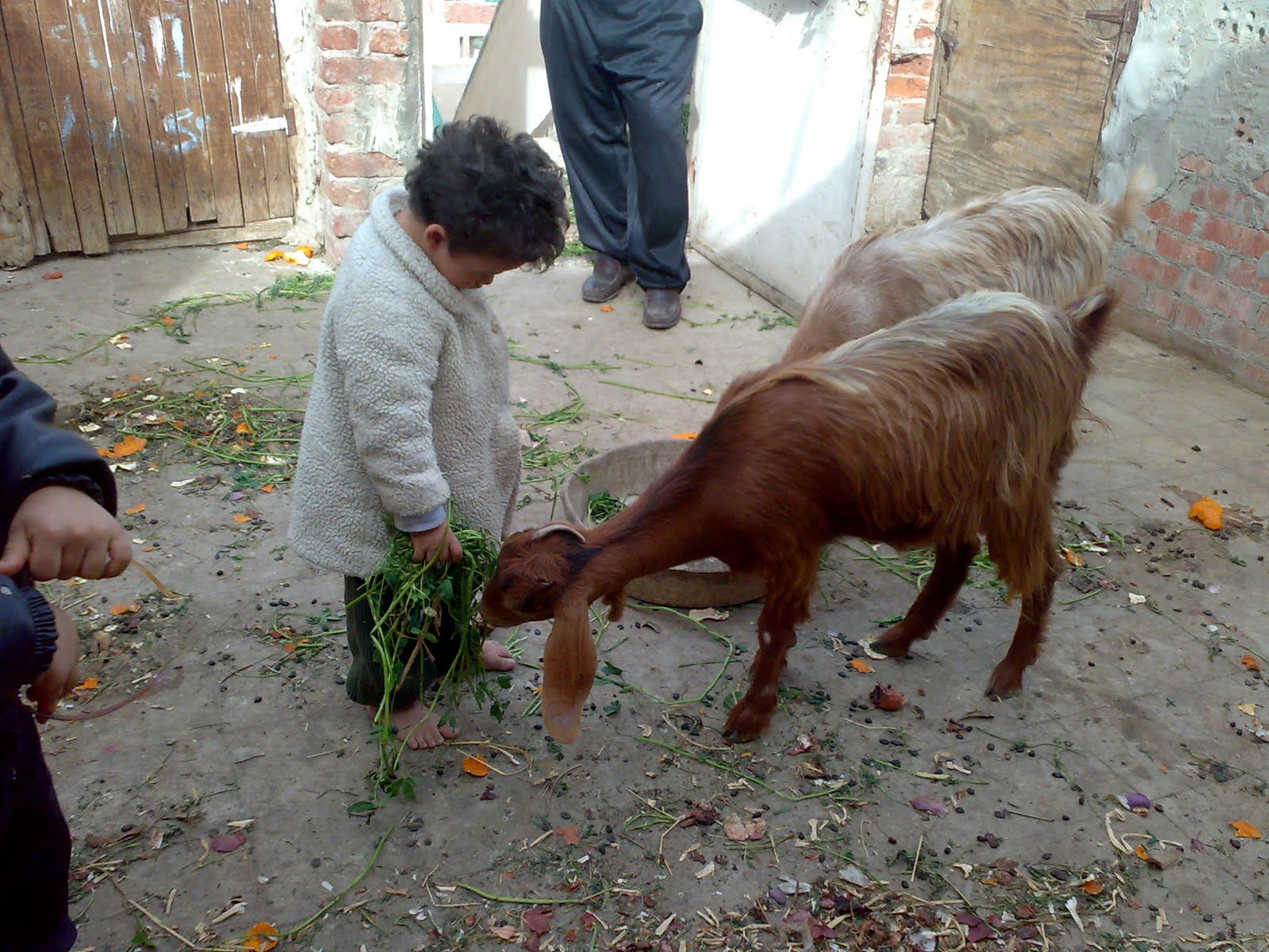 [جيجي٧٤١٩.jpg]