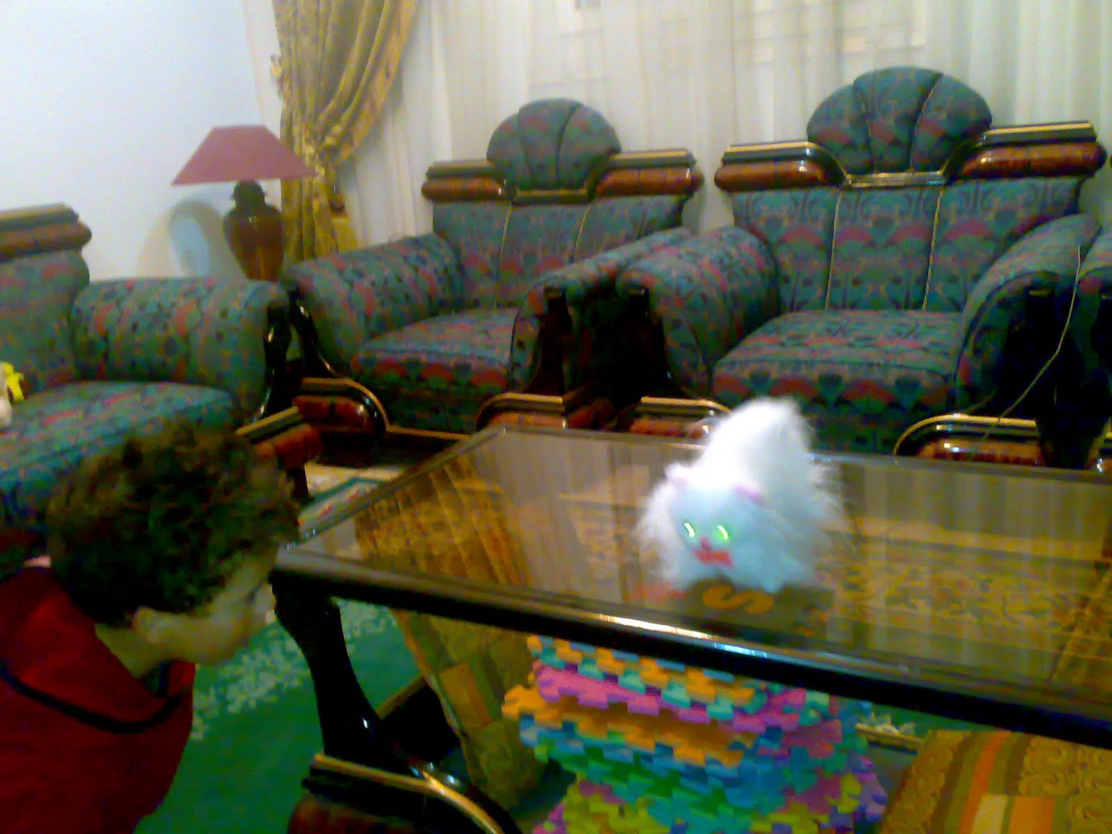 [جيجي٧٦٠٣.jpg]