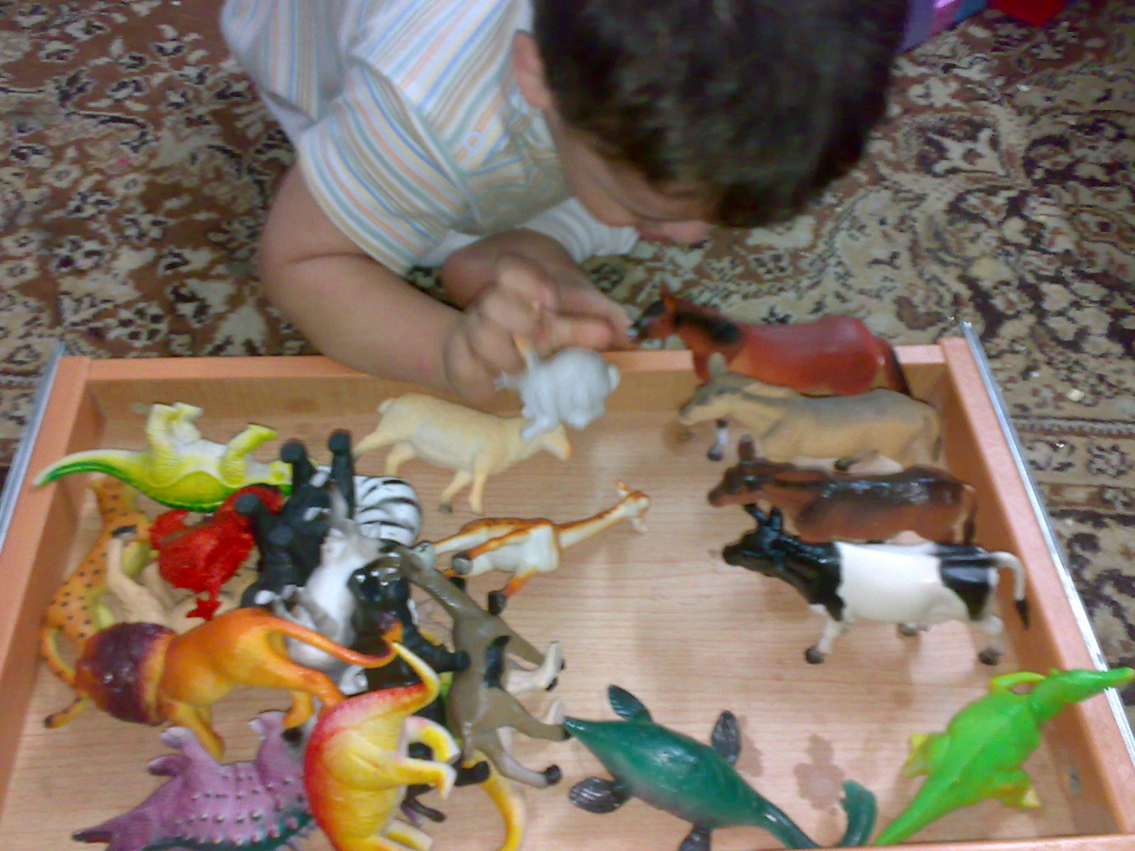 [Ø¬ÙŠØ¬ÙŠÙ¤Ù£Ù¤Ù¨.jpg]