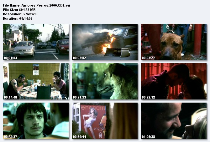 Perros Cojiendo Pelicula | perros cojiendo pelicula como perros y gatos Perros Cojiendo Pelicula | perros cojiendo pelicula como perros y gatos