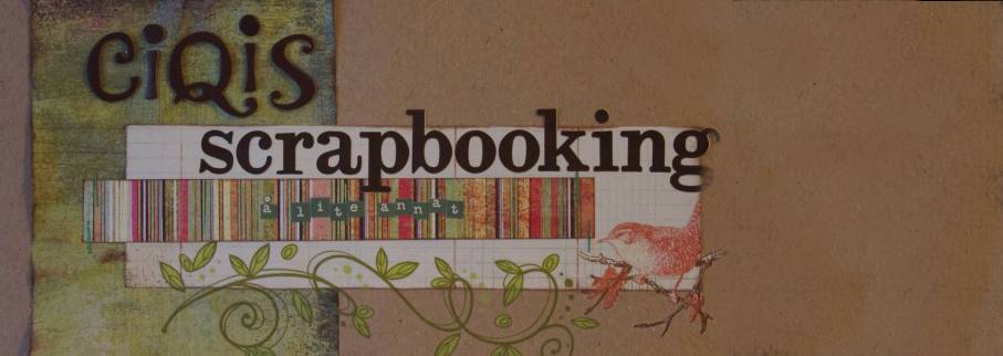 Ciqis scrapbooking å lite annat