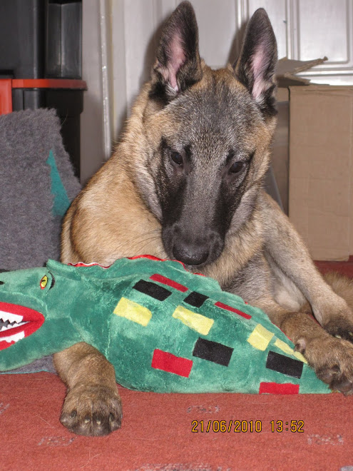 Ruger with his dragon, present from Claire and Gaston in Belgium