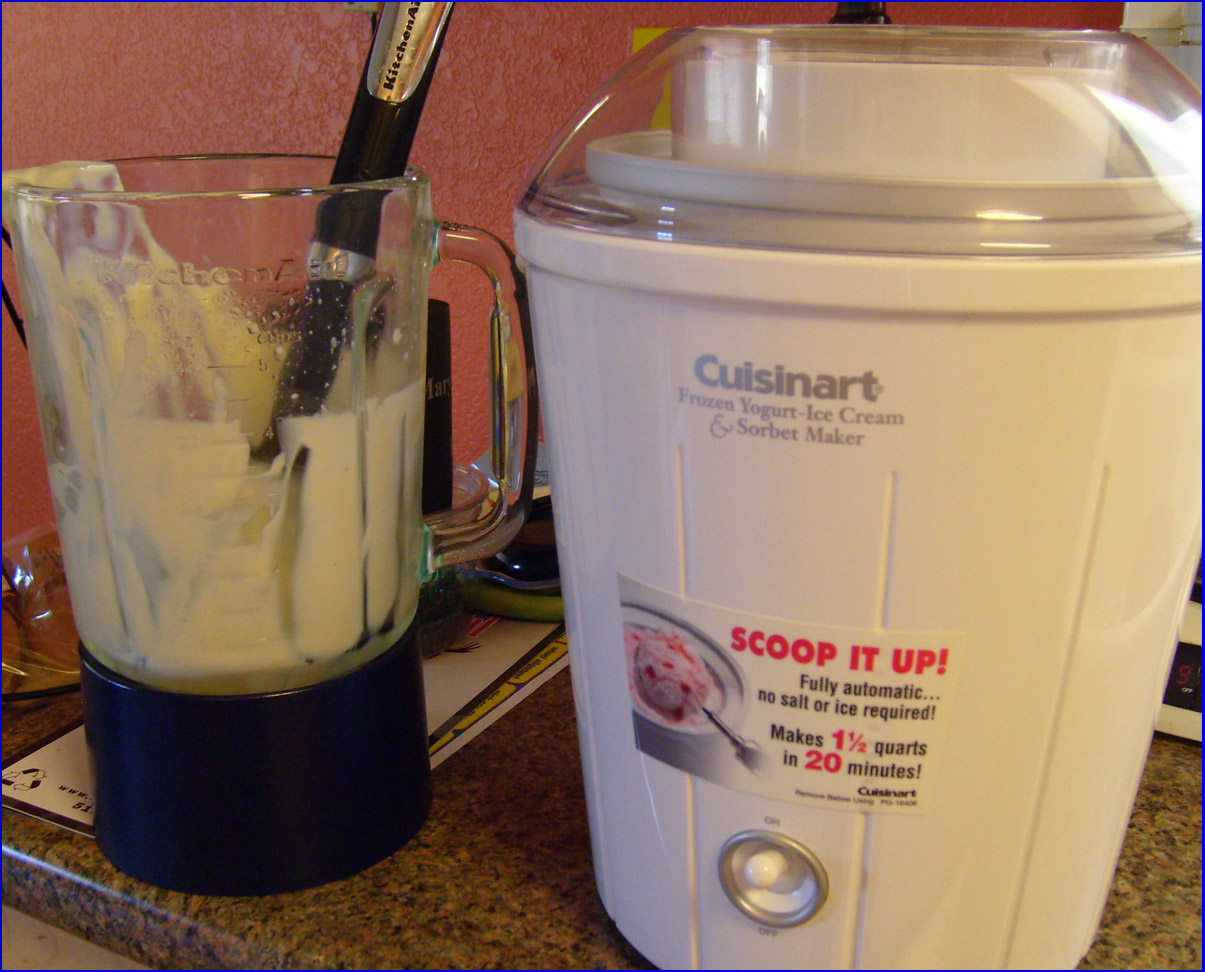 [ice+cream+making.JPG]