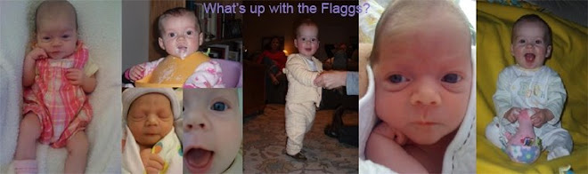 what's up with the Flaggs?