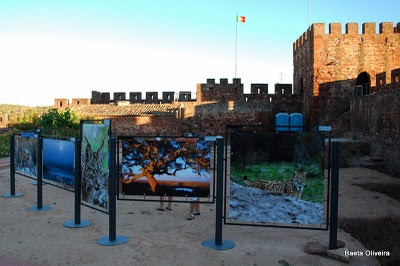 Exposição sobre o lince ibérico no Castelo de Silves, Verão 2010