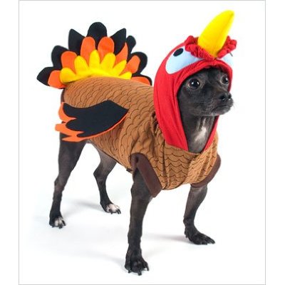 Doggy Halloween Costumes