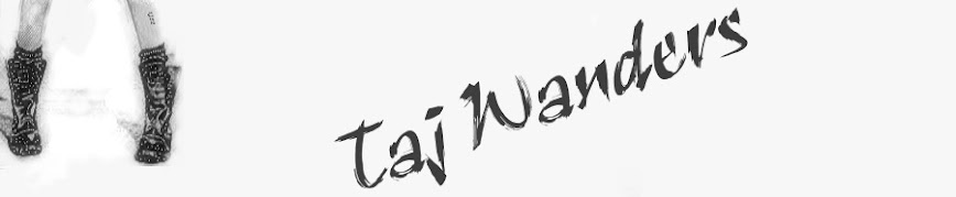 Taj Wanders