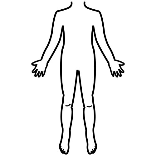 partes del cuerpo humano. Partes del Cuerpo Humano
