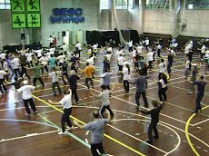 TAI CHI CHUAN NO SESC 2008