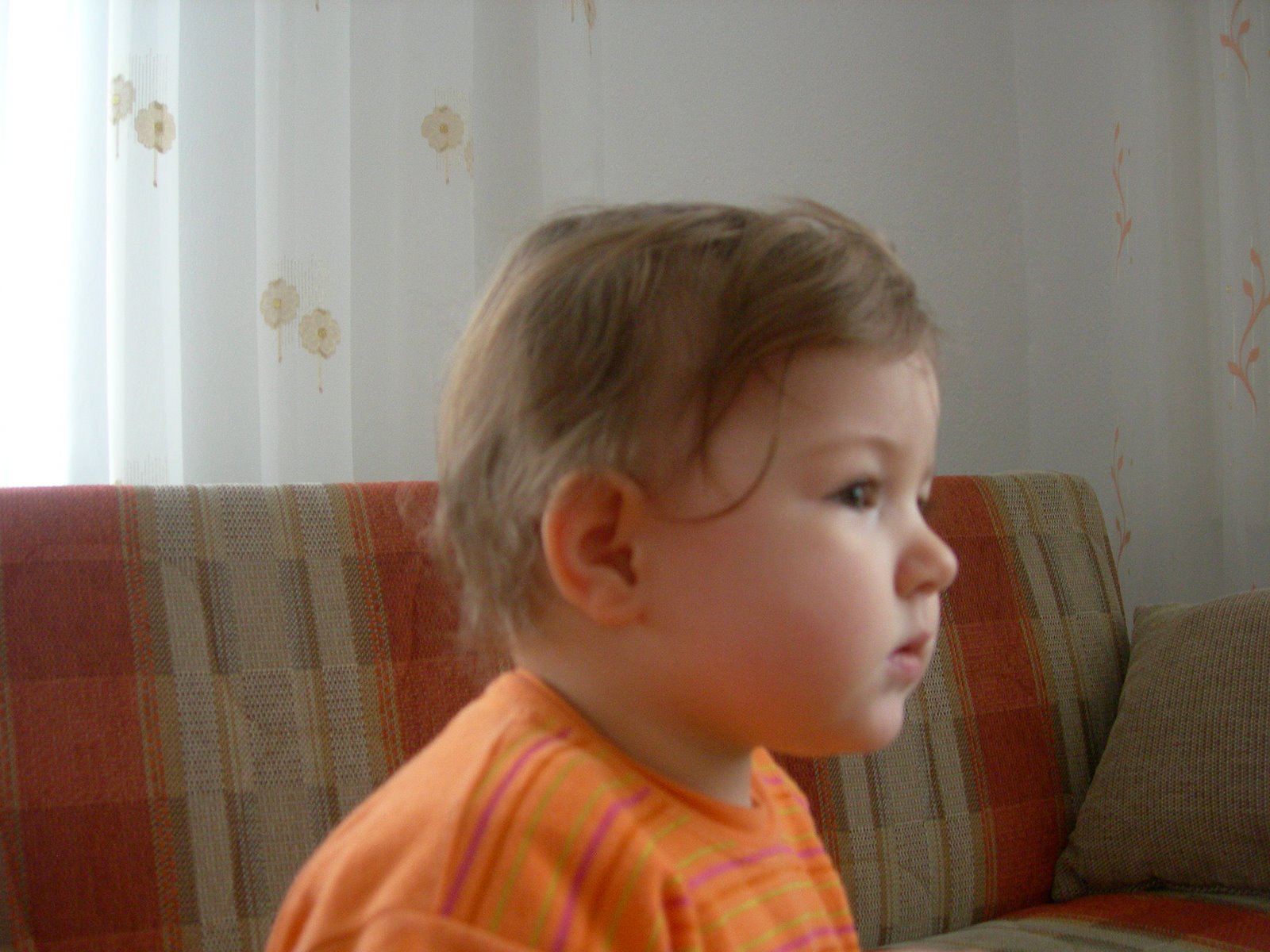 [DSCN2084.JPG]