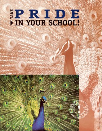 [gostarDAescola.bmp]