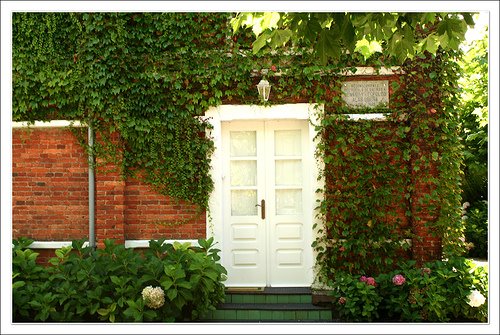 [1433431655_905ff8285a.jpg]