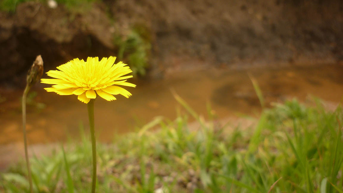 [P1110604.jpg]