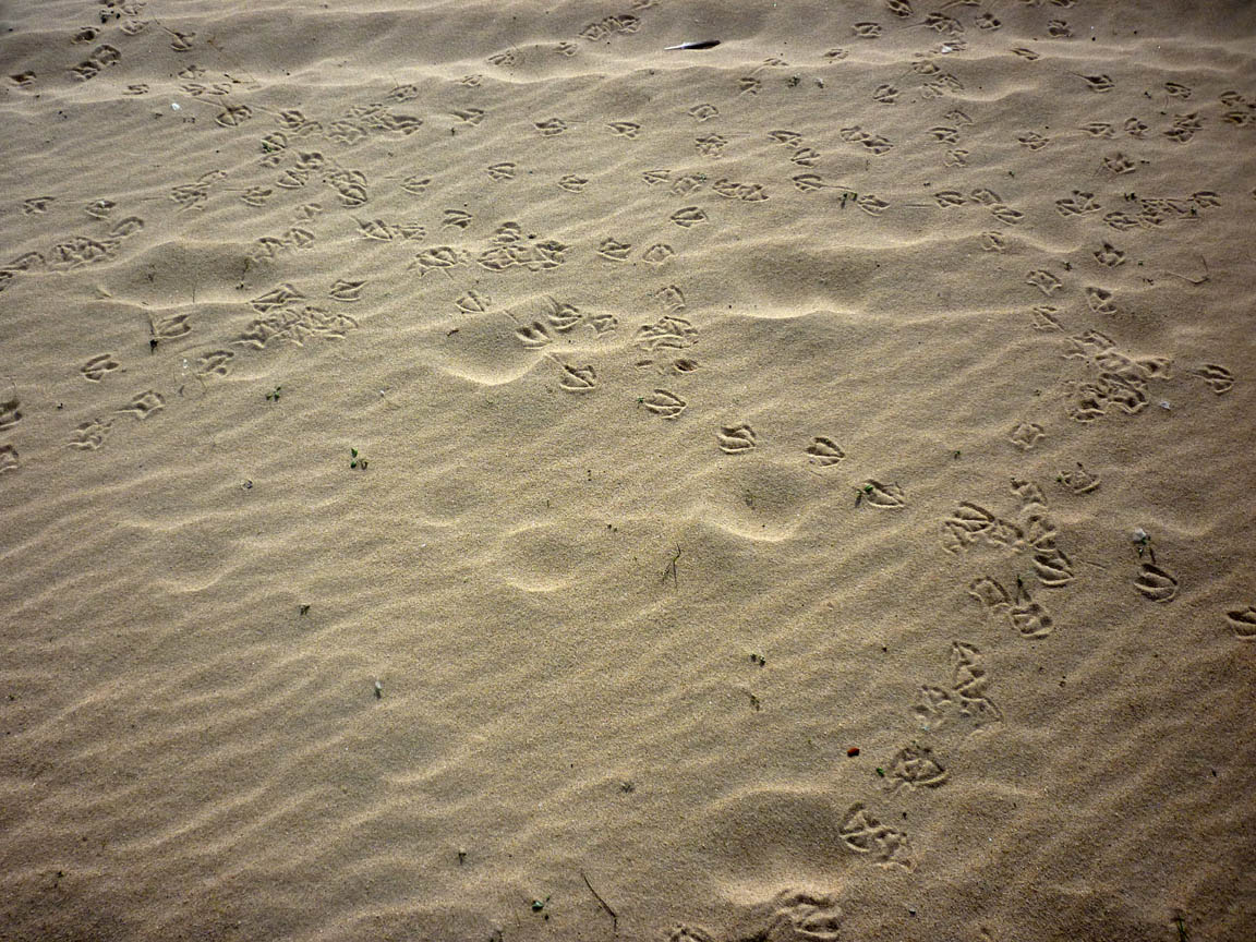 [P1020339.jpg]