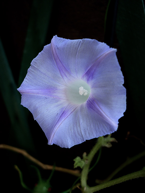 [P1030516.jpg]
