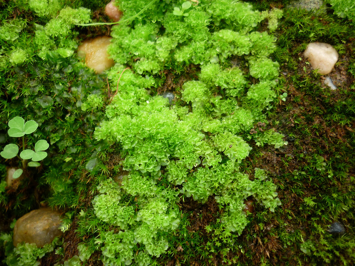 [P1060839.jpg]