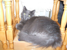 Ferdinand