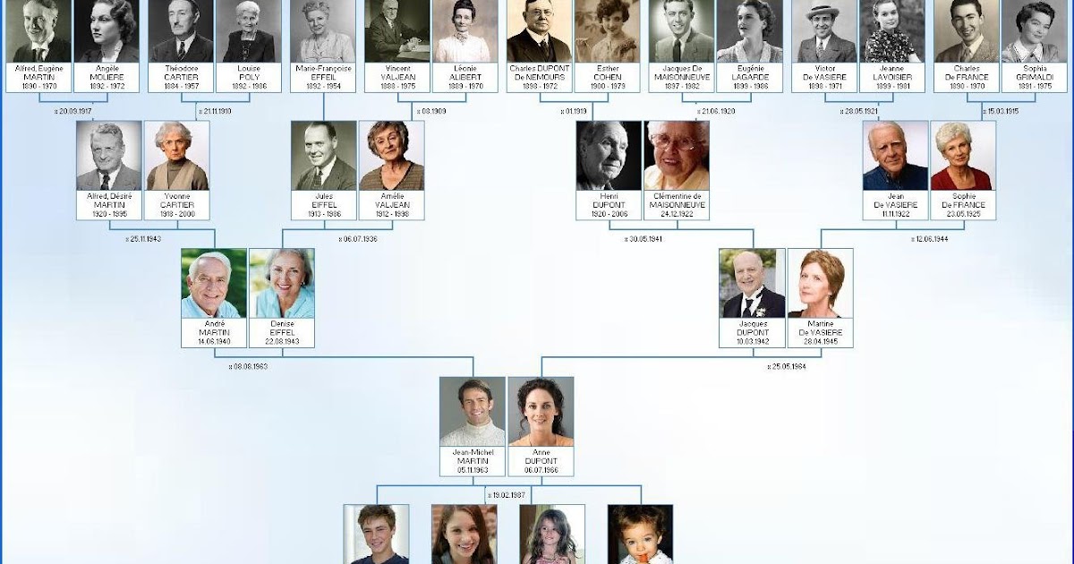 Elie un logiciel gratuit pour créer facilement son arbre généalogique Freewares & Tutos