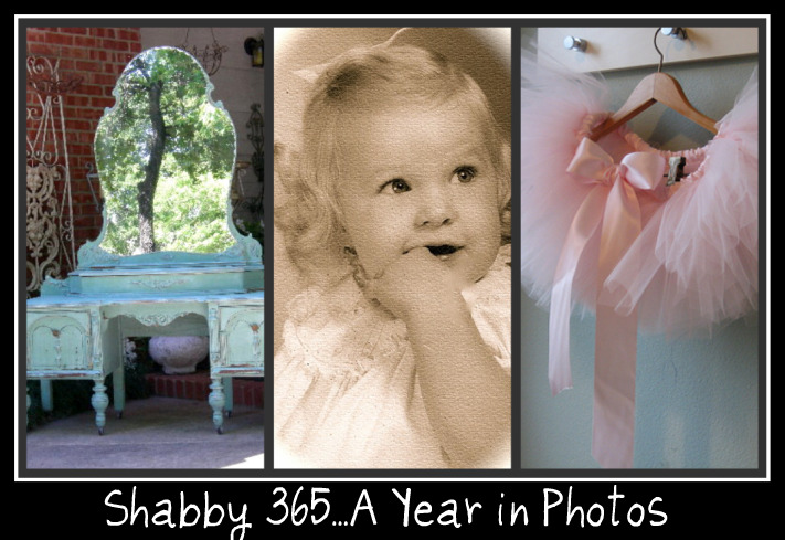 Shabby 365...A Year in Photos