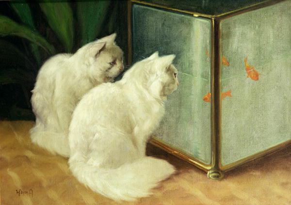 [Arthur+Heyer,+White+Cats+Watching+Goldfish.jpg]