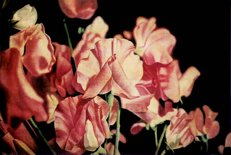 Jason Benjamin Australian Artist ~ Blog of an Art Admirer