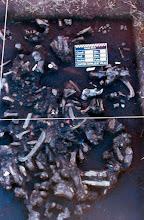 LA DENSIDAD DEL REGISTRO ARQUEOLOGICO EN EL CANTON TAPALQUE VIEJO