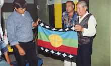 Las organizaciones pampas mapuches