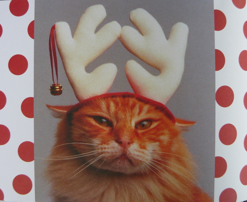 cat with antlers