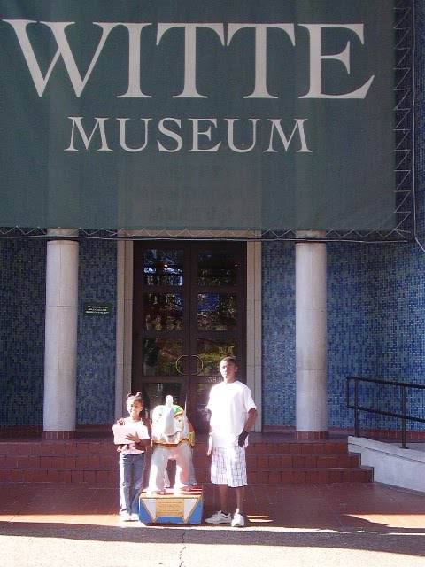 Witte museum coupons