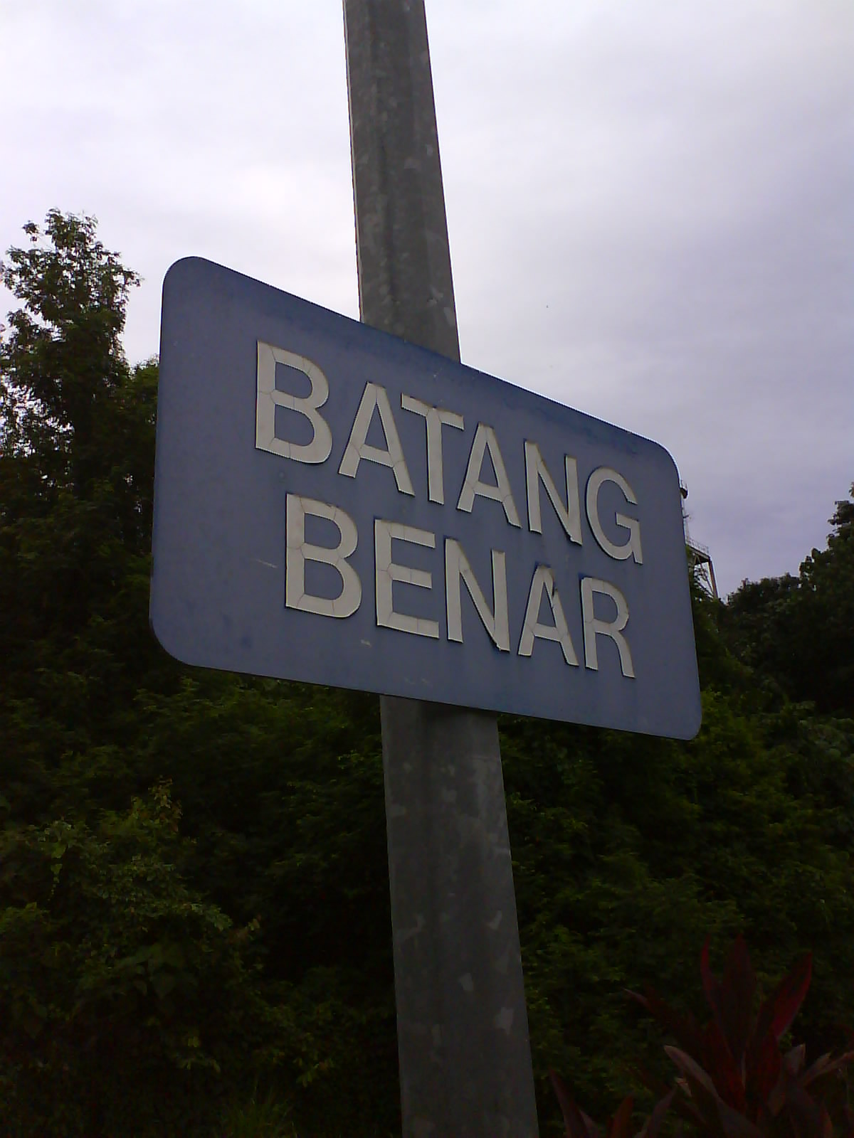 [DSC00074.JPG]