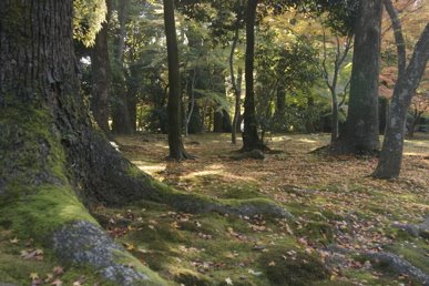 [IMG_5498.jpg]