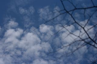 [IMG_2004-768178.jpg]