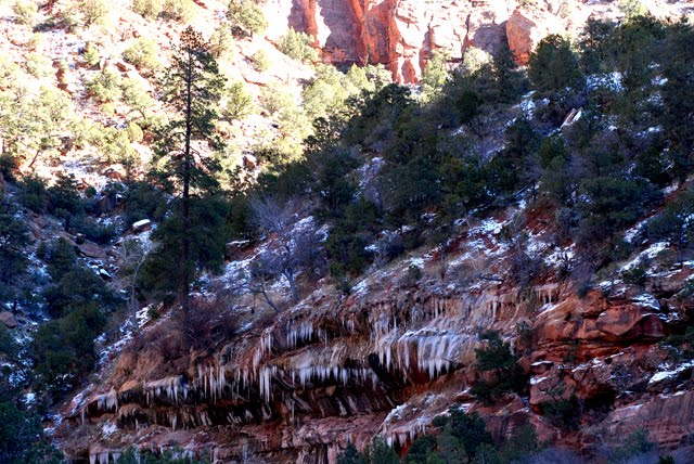 Zion National Park