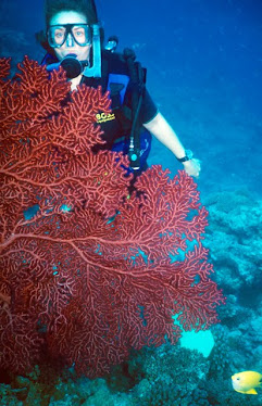 Diver with Gorgonian